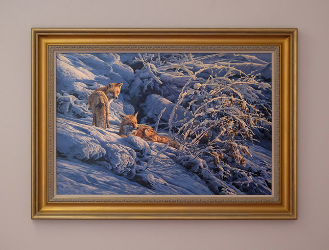 Framed original oil painting of north American red foxes in snow